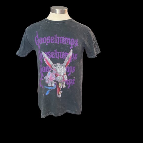 Vintage goosebumps rabbit tshirt washed - Picture 1 of 5